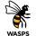 logo club Wasps