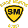 logo Stade Montois