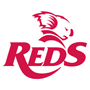 logo Queensland Reds