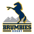 logo Brumbies