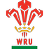 logo Wales U20s