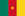 Drapeau Cameroon